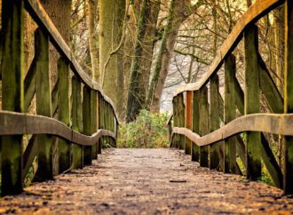 Lengua en movimiento: el español y el portugués como puentes globales