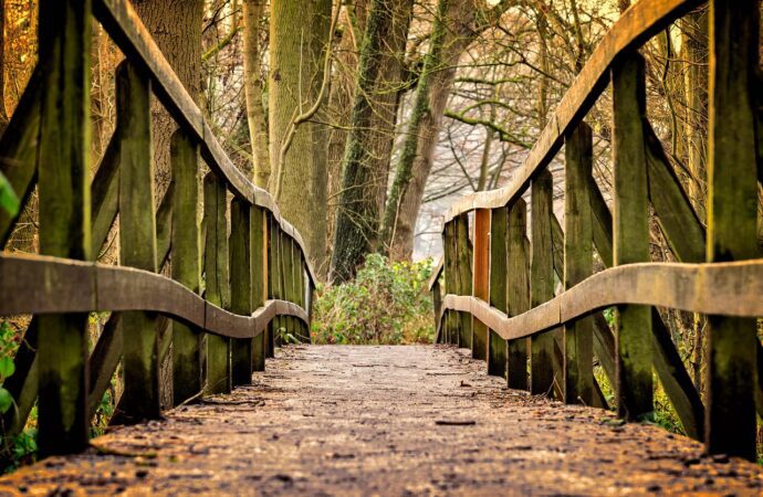 Lengua en movimiento: el español y el portugués como puentes globales